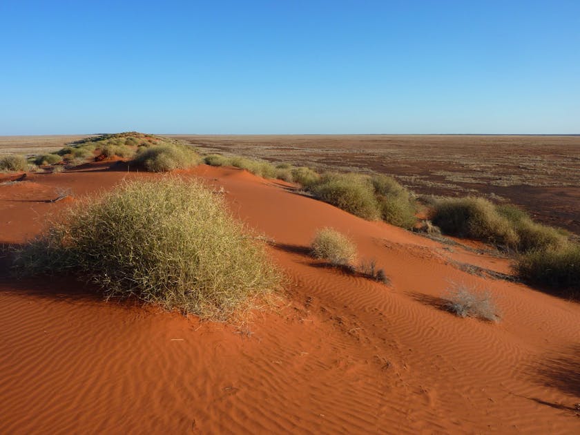 Simpson Desert One Earth